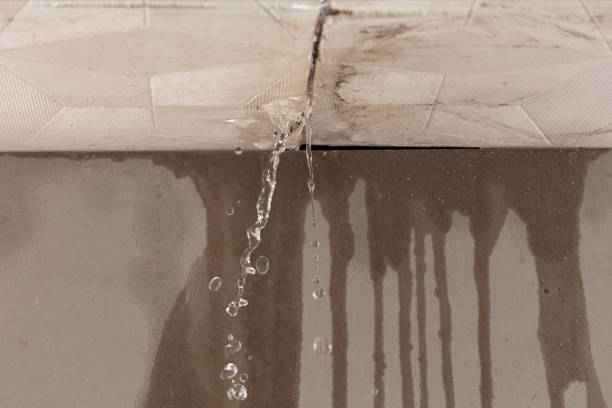 Professional Structural Drying technician working in Bailey Island, ME